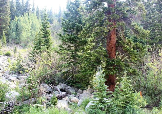 Homes for sale in Idaho Springs, CO | 01 Miners Rd, Idaho Springs, CO 80461 | MLS# 6206714