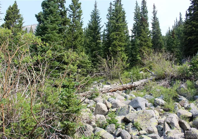Homes for sale in Idaho Springs, CO | 01 Miners Rd, Idaho Springs, CO 80461 | MLS# 6206714