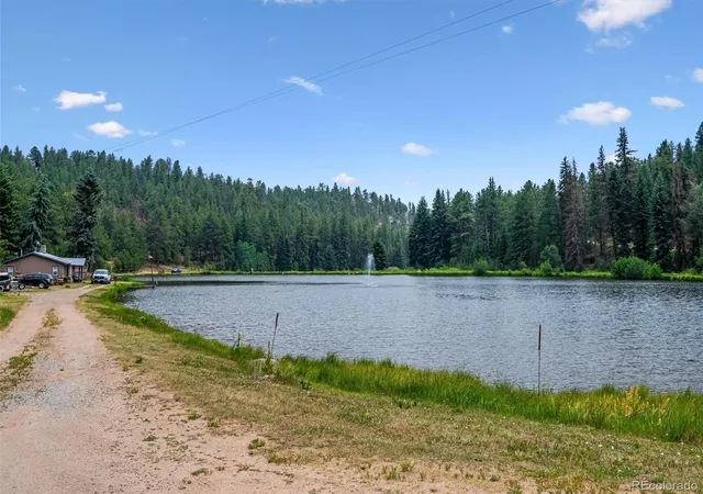 Homes for sale in Bailey, CO | 55 Deer Trail Dr, Bailey, CO 80421 | MLS# 7613515