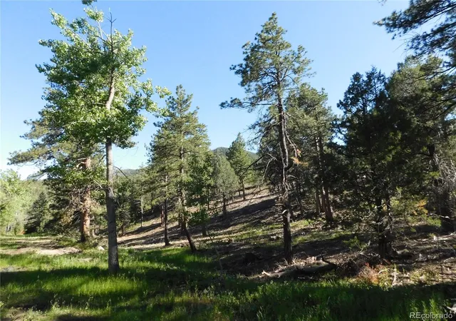 Homes for sale in Larkspur, CO | 5884 Seminole Trl, Larkspur, CO 80118 | MLS# 3454759