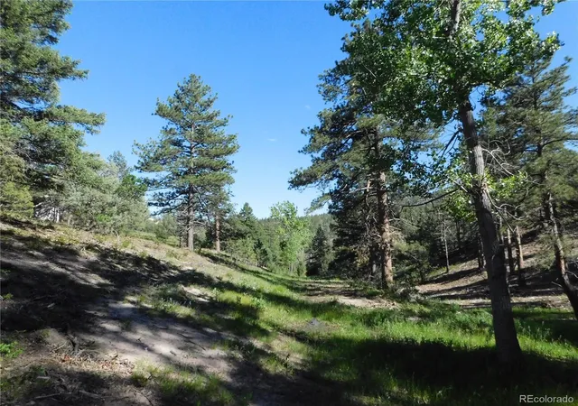 Homes for sale in Larkspur, CO | 5884 Seminole Trl, Larkspur, CO 80118 | MLS# 3454759