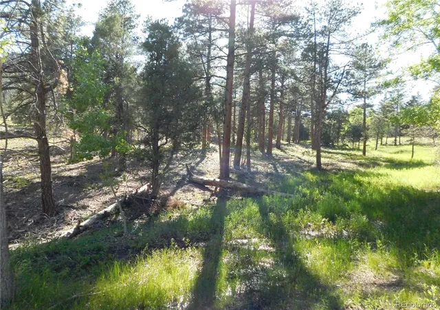 Homes for sale in Larkspur, CO | 5884 Seminole Trl, Larkspur, CO 80118 | MLS# 3454759