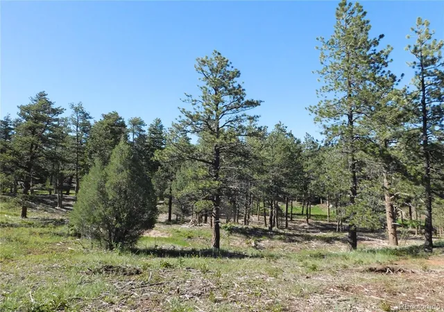 Homes for sale in Larkspur, CO | 7514 Seminole Dr, Larkspur, CO 80118 | MLS# 5247134