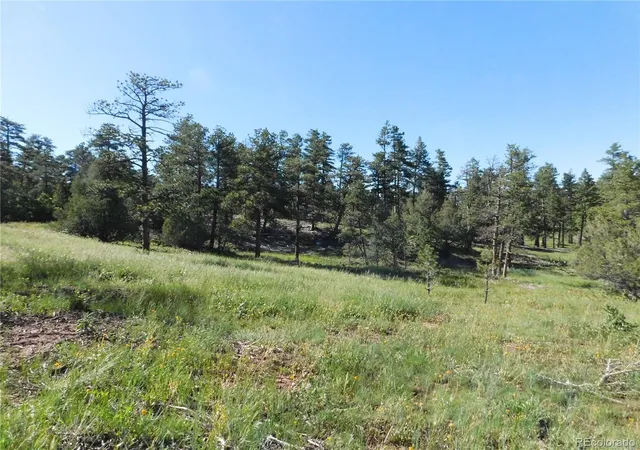 Homes for sale in Larkspur, CO | 7514 Seminole Dr, Larkspur, CO 80118 | MLS# 5247134