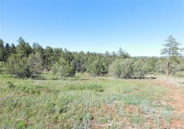 Homes for sale in Larkspur, CO | 7514 Seminole Dr, Larkspur, CO 80118 | MLS# 5247134