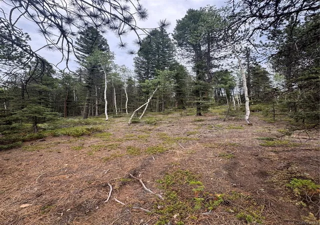 Homes for sale in Divide, CO | 111 Elk Creek Dr, Divide, CO 80814 | MLS# 8883038