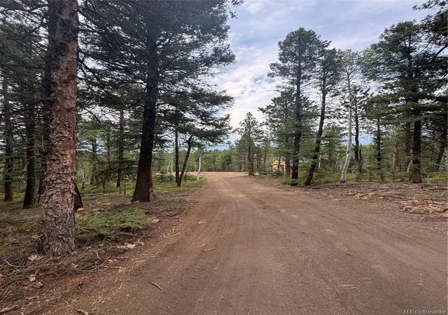 Homes for sale in Divide, CO | 111 Elk Creek Dr, Divide, CO 80814 | MLS# 8883038