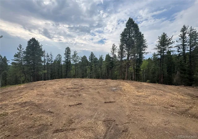 Homes for sale in Divide, CO | 111 Elk Creek Dr, Divide, CO 80814 | MLS# 8883038