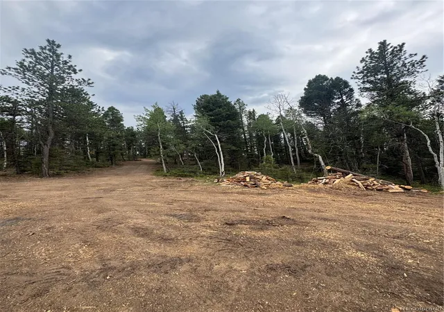 Homes for sale in Divide, CO | 111 Elk Creek Dr, Divide, CO 80814 | MLS# 8883038