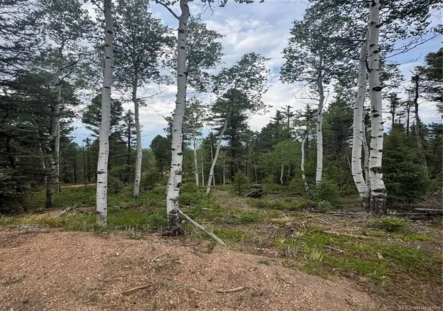Homes for sale in Divide, CO | 111 Elk Creek Dr, Divide, CO 80814 | MLS# 8883038