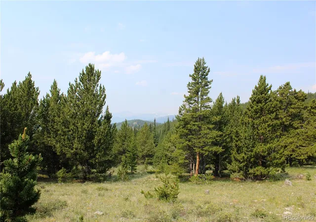 Homes for sale in Idaho Springs, CO | 13620 Independence, Idaho Springs, CO 80461 | MLS# 3862593