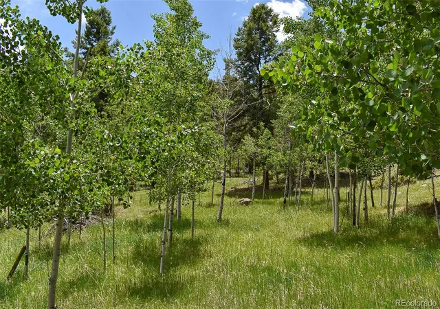 Homes for sale in Guffey, CO | 281 Deer Ln, Guffey, CO 80820 | MLS# 8145588