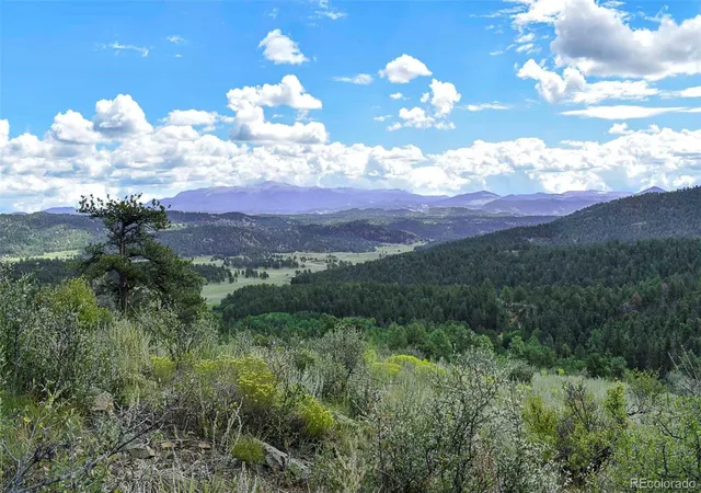 Homes for sale in Guffey, CO | 281 Deer Ln, Guffey, CO 80820 | MLS# 8145588
