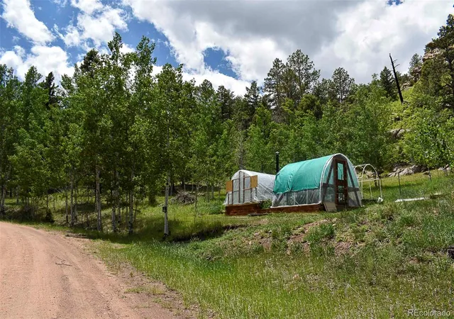 Homes for sale in Guffey, CO | 281 Deer Ln, Guffey, CO 80820 | MLS# 8145588