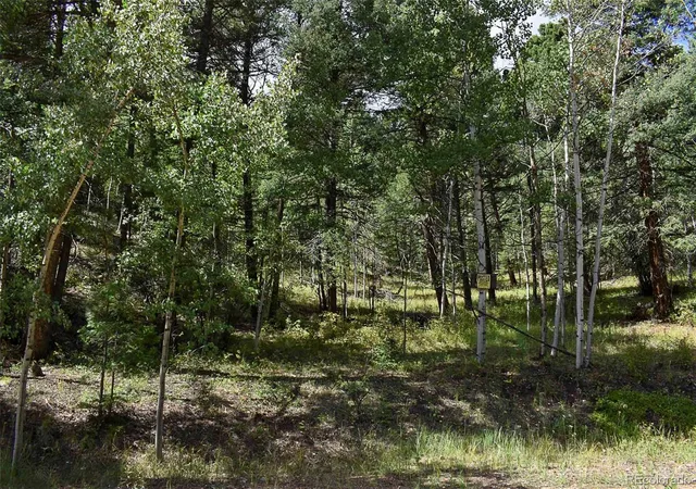 Homes for sale in Guffey, CO | 281 Deer Ln, Guffey, CO 80820 | MLS# 8145588