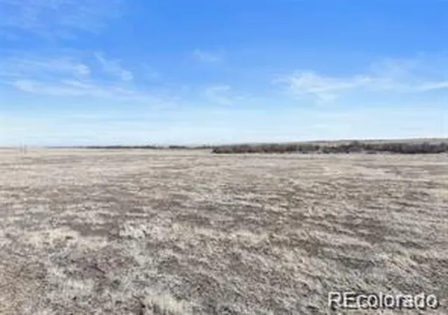Homes for sale in Rush, CO | 12008 County Road 2A, Rush, CO 80833 | MLS# 9723151