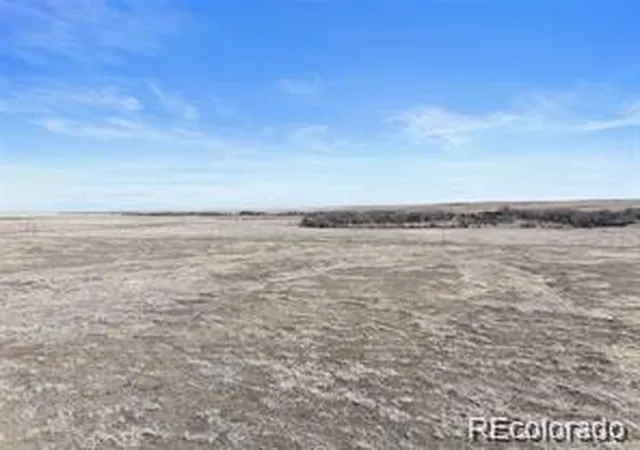 Homes for sale in Rush, CO | 12008 County Road 2A, Rush, CO 80833 | MLS# 9723151