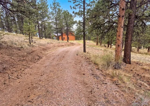 15th image of 113 Blackberry Ct, Westcliffe, CO 81252 | MLS# 2382006