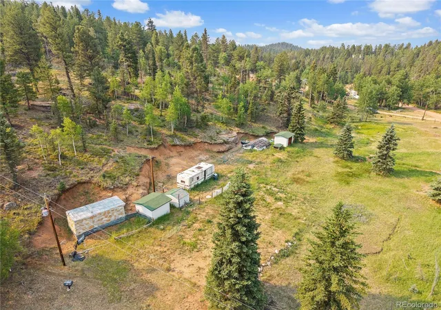 Homes for sale in Divide, CO | 974 W Bison Creek Trl, Divide, CO 80814 | MLS# 2919121