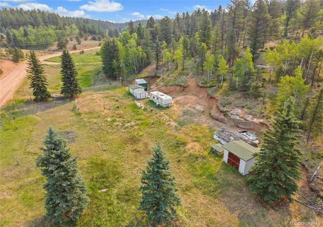 Homes for sale in Divide, CO | 974 W Bison Creek Trl, Divide, CO 80814 | MLS# 2919121