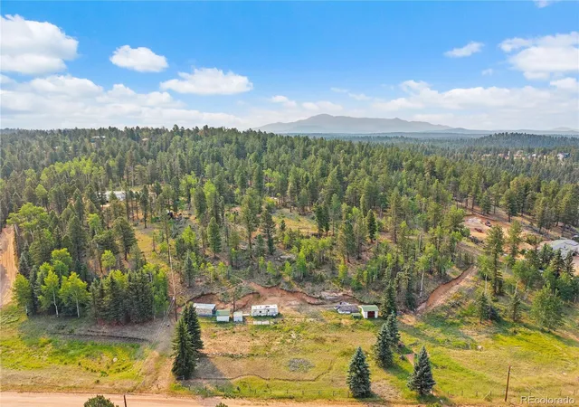 Homes for sale in Divide, CO | 974 W Bison Creek Trl, Divide, CO 80814 | MLS# 2919121