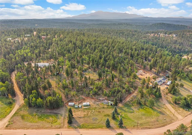 Homes for sale in Divide, CO | 974 W Bison Creek Trl, Divide, CO 80814 | MLS# 2919121