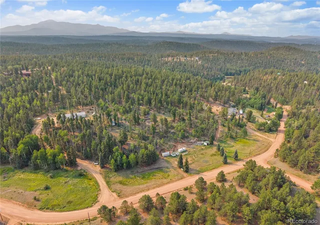 Homes for sale in Divide, CO | 974 W Bison Creek Trl, Divide, CO 80814 | MLS# 2919121