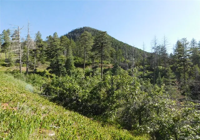 Homes for sale in Larkspur, CO | 5425 Cheyenne Dr, Larkspur, CO 80118 | MLS# 7441145