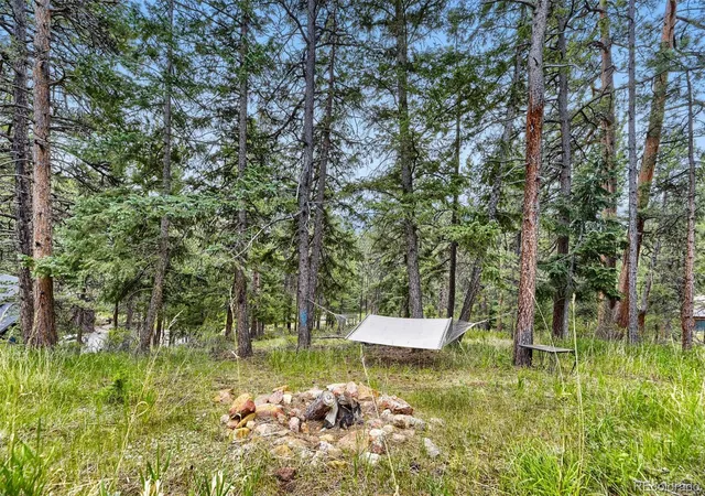 Homes for sale in Evergreen, CO | 54 Zaza Ln, Evergreen, CO 80439 | MLS# 7121879