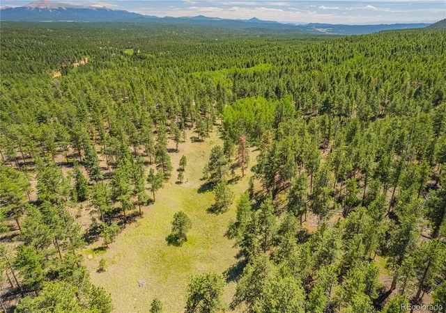 1st image of Lot 2 County Road 51, Florissant, CO 80816 | MLS# 8765742