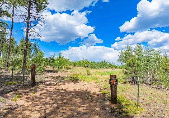 2nd image of Lot 2 County Road 51, Florissant, CO 80816 | MLS# 8765742