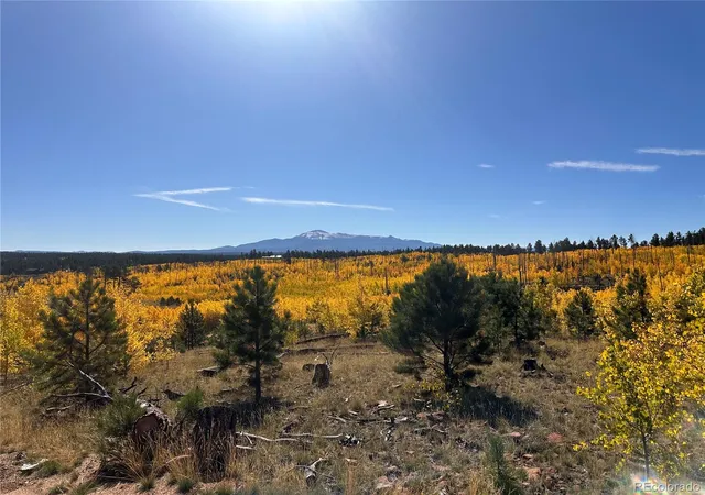 3rd image of Lot 2 County Road 51, Florissant, CO 80816 | MLS# 8765742
