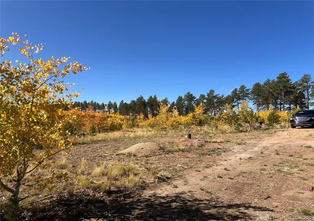 4th image of Lot 2 County Road 51, Florissant, CO 80816 | MLS# 8765742