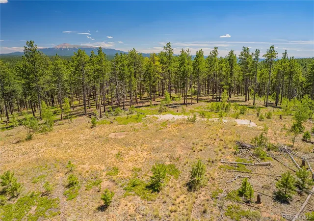 47th image of Lot 2 County Road 51, Florissant, CO 80816 | MLS# 8765742