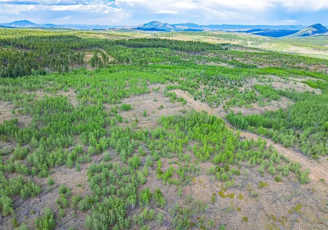 5th image of Lot 2 County Road 51, Florissant, CO 80816 | MLS# 8765742