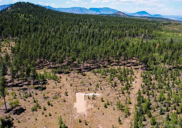 3rd image of Lot 4 County Road 51, Florissant, CO 80816 | MLS# 1907101