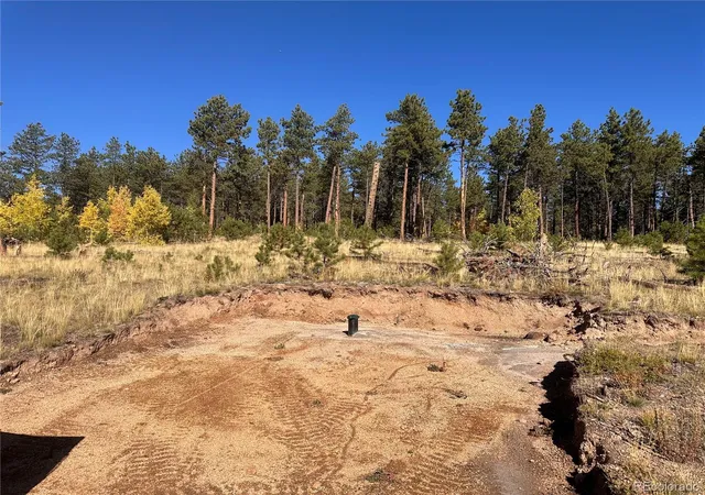 4th image of Lot 4 County Road 51, Florissant, CO 80816 | MLS# 1907101