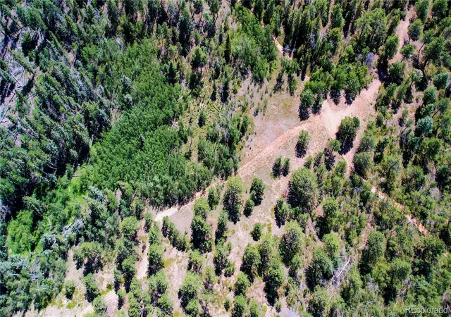 44th image of Lot 4 County Road 51, Florissant, CO 80816 | MLS# 1907101