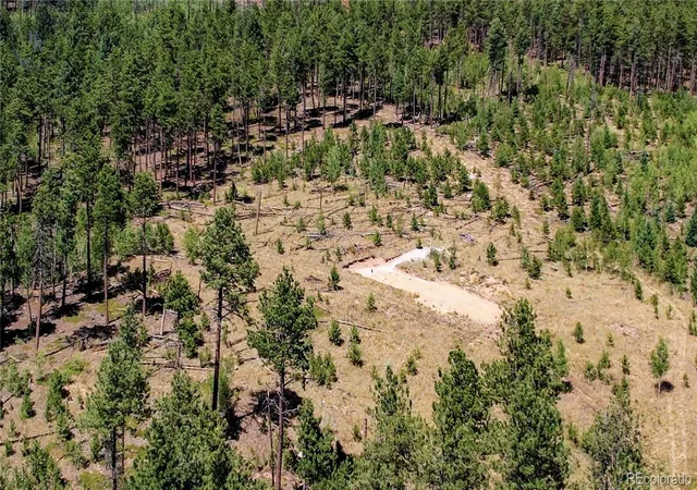 5th image of Lot 4 County Road 51, Florissant, CO 80816 | MLS# 1907101