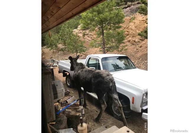 Photo 3 of Single family home for sale at 32307 Sylvan Rd, Golden, CO 80403 | MLS# IR1063612 | Listing updated on 2026-09-22