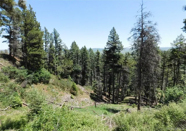 Homes for sale in Larkspur, CO | 13524 Woodmoor West Dr, Larkspur, CO 80118 | MLS# 7698682