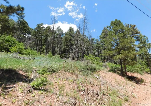 Homes for sale in Larkspur, CO | 13524 Woodmoor West Dr, Larkspur, CO 80118 | MLS# 7698682