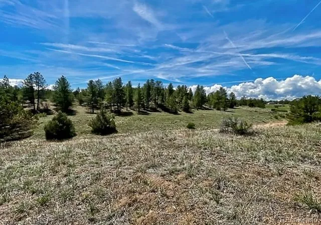 4th image of 7080 Copper Gulch Rd, Cotopaxi, CO 81223 | MLS# 4500833