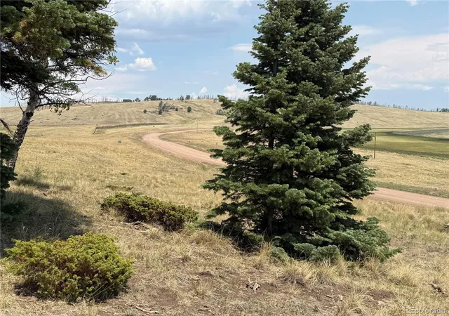 Homes for sale in Fort Garland, CO | 2357 Benton Pl, Fort Garland, CO 81133 | MLS# 2494616