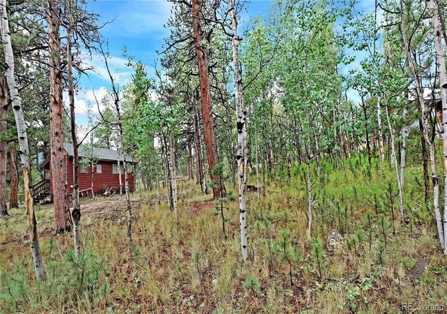 Homes for sale in Bailey, CO | 109 Wolf, Bailey, CO 80421 | MLS# 2900145