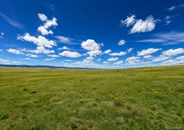 Homes for sale in Hartsel, CO | 200 Cedar Ln, Hartsel, CO 80449 | MLS# 4878941