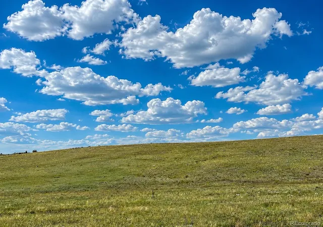 Homes for sale in Hartsel, CO | 200 Cedar Ln, Hartsel, CO 80449 | MLS# 4878941