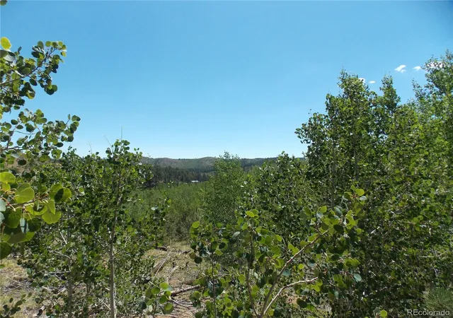 1st image of 615 Valley Dr, Florissant, CO 80816 | MLS# 6408719