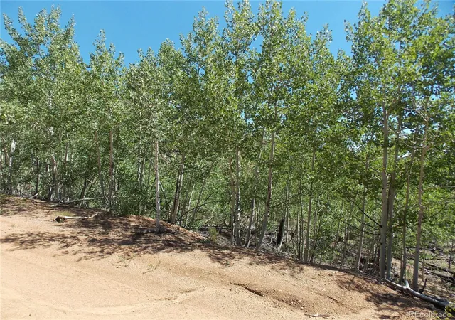 2nd image of 615 Valley Dr, Florissant, CO 80816 | MLS# 6408719