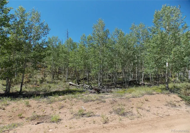 7th image of 615 Valley Dr, Florissant, CO 80816 | MLS# 6408719